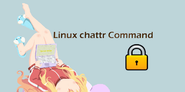 Linux 的 chattr 命令详解
