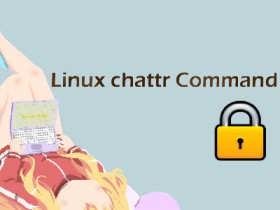 Linux 的 chattr 命令详解