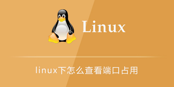 Linux 查看端口占用情况