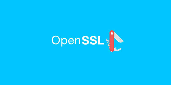 Linux升级openssl